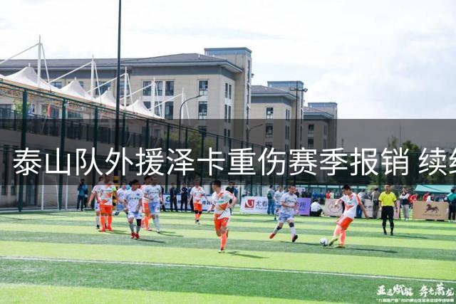 泰山队外援泽卡重伤赛季报销 续约前景存疑