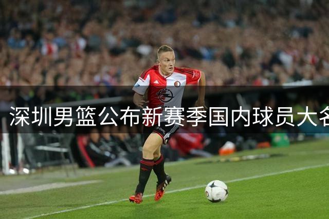 深圳男篮公布新赛季国内球员大名单