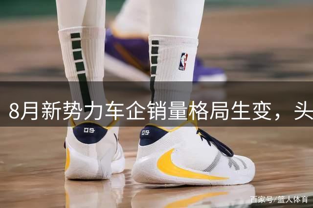 8月新势力车企销量格局生变，头部阵营重新洗牌